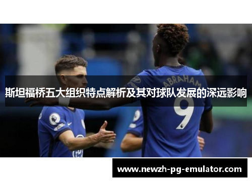 斯坦福桥五大组织特点解析及其对球队发展的深远影响