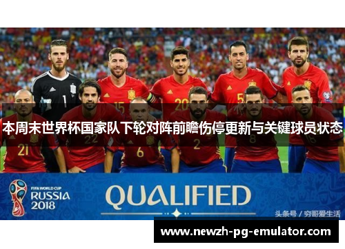 本周末世界杯国家队下轮对阵前瞻伤停更新与关键球员状态 本周末世界杯国家队下轮对阵前瞻伤停更新与关键球员状态