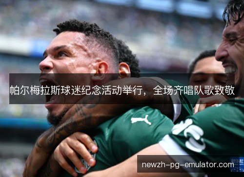 帕尔梅拉斯球迷纪念活动举行，全场齐唱队歌致敬